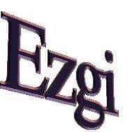 £zgi